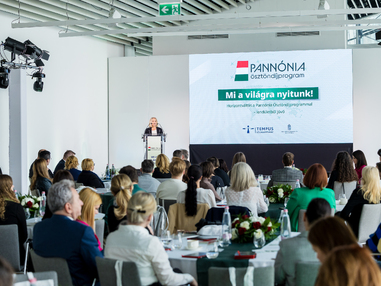 Horizontv&aacute;lt&aacute;s a magyar felsőoktat&aacute;sban - a Pann&oacute;nia &Ouml;szt&ouml;nd&iacute;jprogram első k&eacute;t &eacute;ve